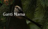 Ganti Nama Jalan, PDIP: Kalau Buat Kebijakan, Coba Anies Baswedan Jangan Menyusahkan Masyarakat!