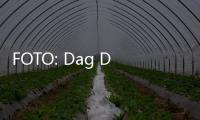 FOTO: Dag Dig Dug Main Gim Terjebak di dalam Peti Mati