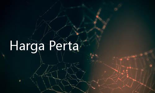 Harga Pertamax Turun Jadi Rp12.950, Pengendara: Beli Rp100 Ribu Masih Dapat Lumayan