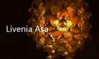 Livenia Asal Kaltim dan Komang dari Bali Jadi Paskibraka Pembawa Baki di IKN, Berikut Profilnya
