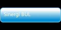 Sinergi BULOG