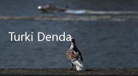 Turki Denda Penumpang yang Buru